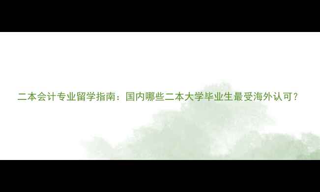 图片 二本会计专业留学指南：国内哪些二本大学毕业生最受海外认可？