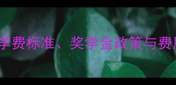 图片 伊利诺伊大学学费全：学费标准、奖学金政策与费用构成（附省钱攻略）1