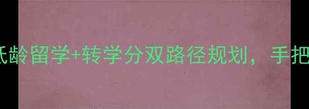 图片 大专生留学指南：低龄留学+转学分双路径规划，手把手教你申请本科！1