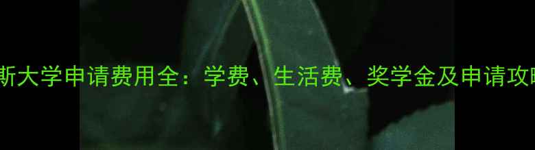 图片 巴斯大学申请费用全：学费、生活费、奖学金及申请攻略1