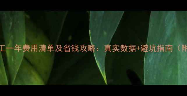 图片 德国留学打工一年费用清单及省钱攻略：真实数据+避坑指南（附最新政策）