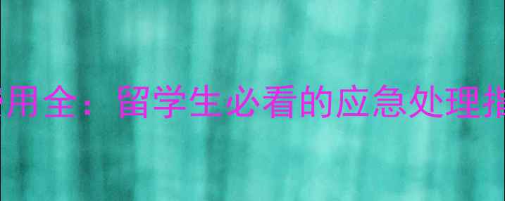 图片 护照丢失滞留费用全：留学生必看的应急处理指南与费用清单1