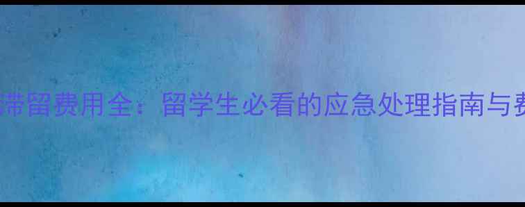 图片 护照丢失滞留费用全：留学生必看的应急处理指南与费用清单2