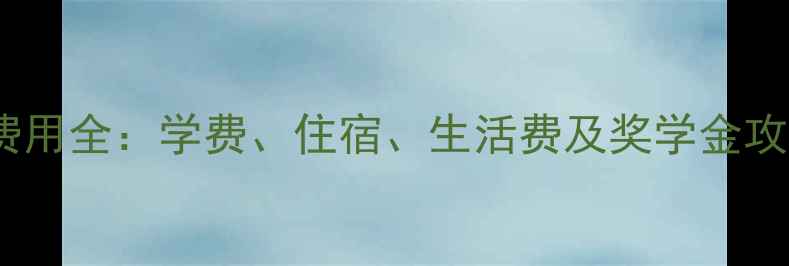 图片 新加坡留学一年费用全：学费、住宿、生活费及奖学金攻略（最新数据）1