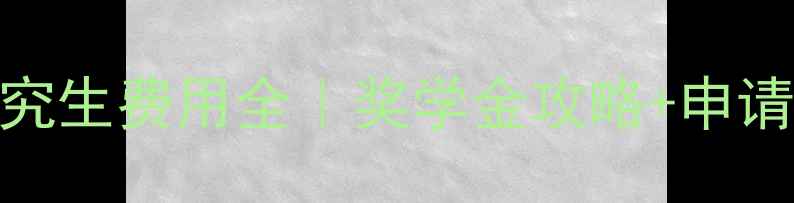 图片 新加坡研究生费用全｜奖学金攻略+申请避坑指南