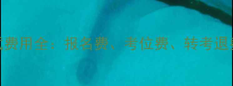 图片 美国托福考试费用全：报名费、考位费、转考退费等省钱攻略