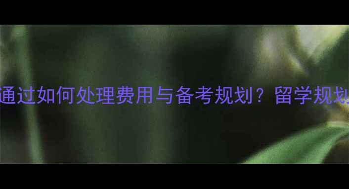 图片 雅思考试未通过如何处理费用与备考规划？留学规划师权威指南