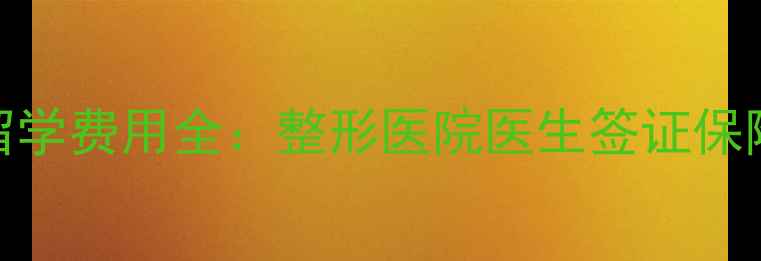 图片 韩国医美留学费用全：整形医院医生签证保险避坑指南