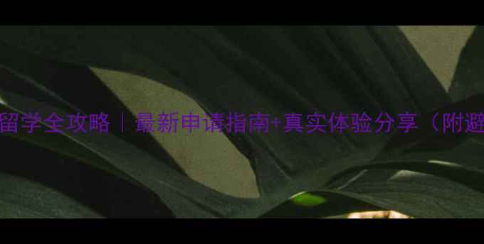 图片 🌍西班牙留学全攻略｜最新申请指南+真实体验分享（附避坑建议）