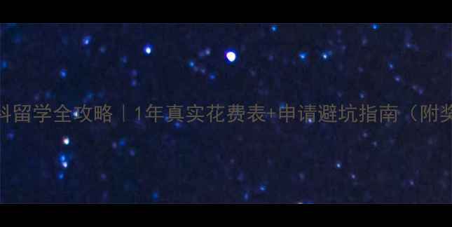 图片 🌟新加坡本科留学全攻略｜1年真实花费表+申请避坑指南（附奖学金信息）