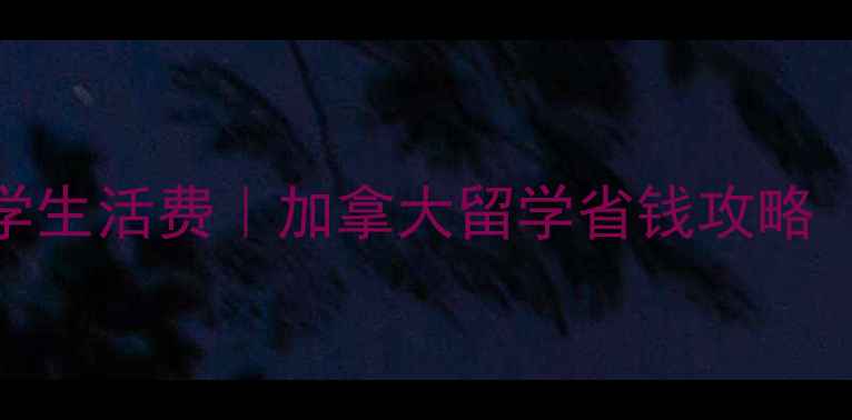 图片 🌟枫叶卡VS留学生活费｜加拿大留学省钱攻略（附真实案例）