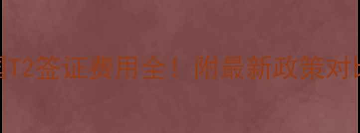 图片 💰英国T2签证费用全！附最新政策对比攻略