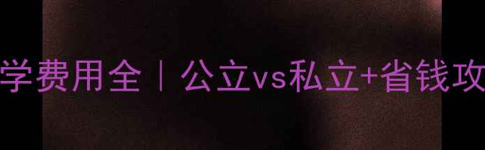 图片 💰荷兰本科留学费用全｜公立vs私立+省钱攻略+申请指南1