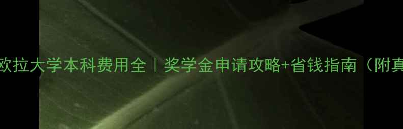 图片 📚最新拜欧拉大学本科费用全｜奖学金申请攻略+省钱指南（附真实数据）