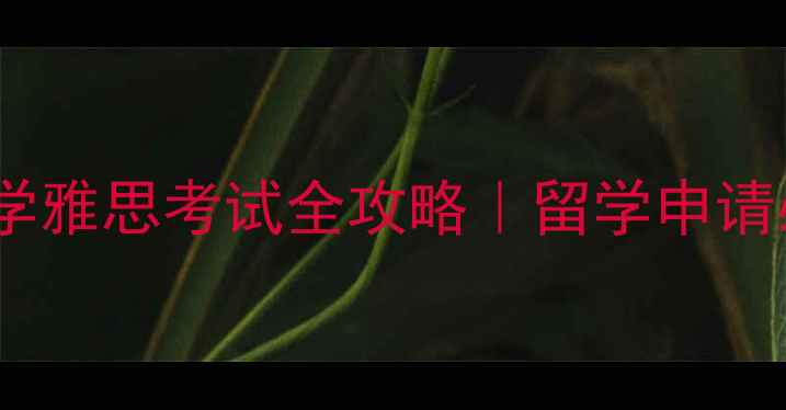 图片 📚湖北大学雅思考试全攻略｜留学申请必看指南2