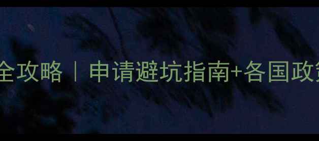 图片 📚留学转专业费用全攻略｜申请避坑指南+各国政策（附真实案例）1