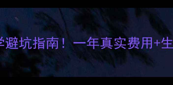 图片 📚雷恩第一大学留学避坑指南！一年真实费用+生活成本全公开🇫🇷1