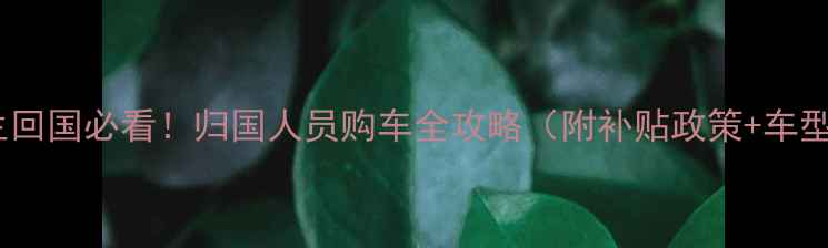 图片 🔥留学生回国必看！归国人员购车全攻略（附补贴政策+车型推荐）2