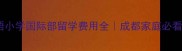 嘉祥外国语小学国际部留学费用全成都家庭必看避坑指南