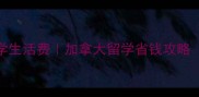 枫叶卡VS留学生活费加拿大留学省钱攻略附真实案例
