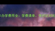 上海中外合作办学费用全学费清单性价比对比及申请攻略