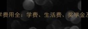 新加坡留学费用全学费生活费奖学金及申请攻略