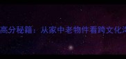 雅思口语高分秘籍从家中老物件看跨文化沟通技巧